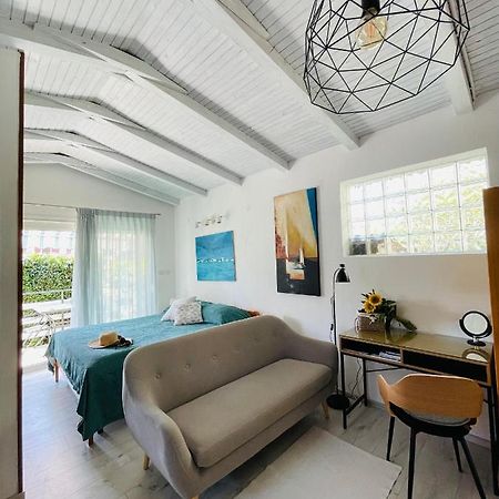 Pasiflora Studio Novigrad  Luaran gambar