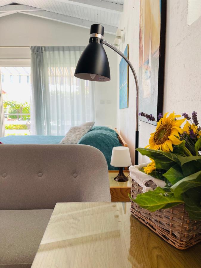 Pasiflora Studio Novigrad  Luaran gambar